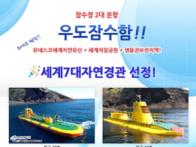 제주 우도잠수함+승마체험(기본코스)