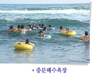 제주도 관광정보'