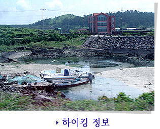 제주도 관광정보'