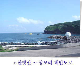 제주도 관광정보'