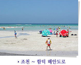 제주도 관광정보'