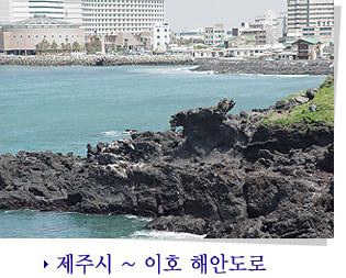 제주도 관광정보'