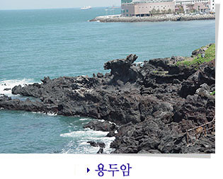 [ 제주시권 - 1일 - B코스]