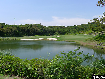 제주1박2일골프 팩키지 4명기준 !! / 추천 제주도2박3일골프여행 추천상품  - 제주도 테디벨리 리조트+제주 테디벨리 골프장+올뉴K5 ,제주예약전문