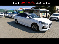소나타뉴라이즈 (L)